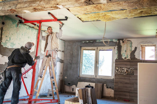 Types of Insulation We Offer in Forest, OH