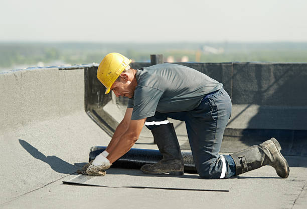 Best Insulation Maintenance and Repair in Forest, OH